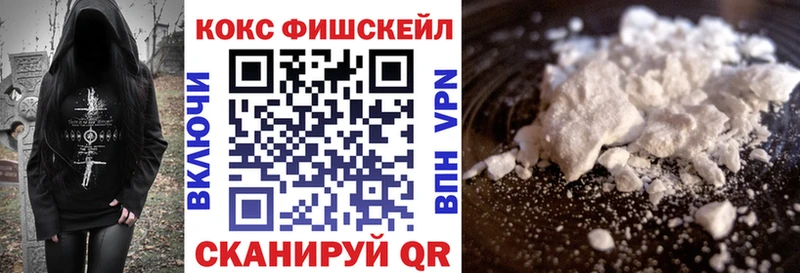COCAIN FishScale  Купить закладки  Городец 